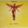 Buy this rare Nirvana record by clicking here