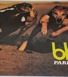Buy this rare Blur record by clicking here
