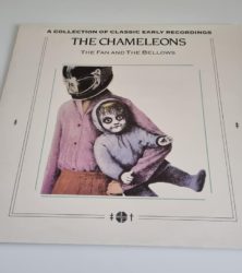 Buy this rare Chameleons record by clicking here