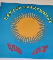 Buy this rare 13th Floor Elevators record by clicking here