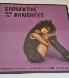 Buy this rare Siouxsie and The Banshees record by clicking here