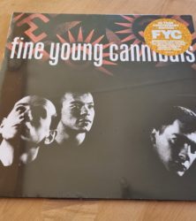 Buy this rare Fine Young Cannibals record by clicking here