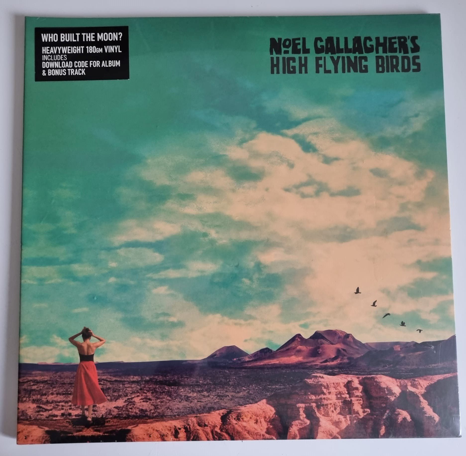 Buy this rare Noel Gallagher's High Flying Bird's record by clicking here