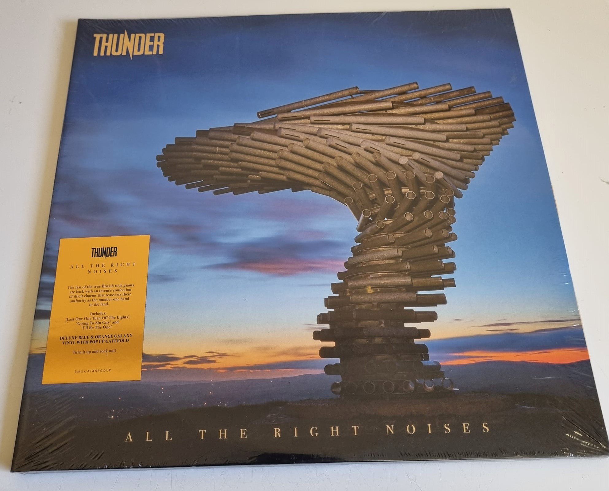 Buy this rare Thunder record by clicking here