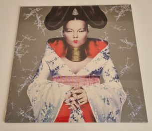 Buy this rare Bjork record by clicking here