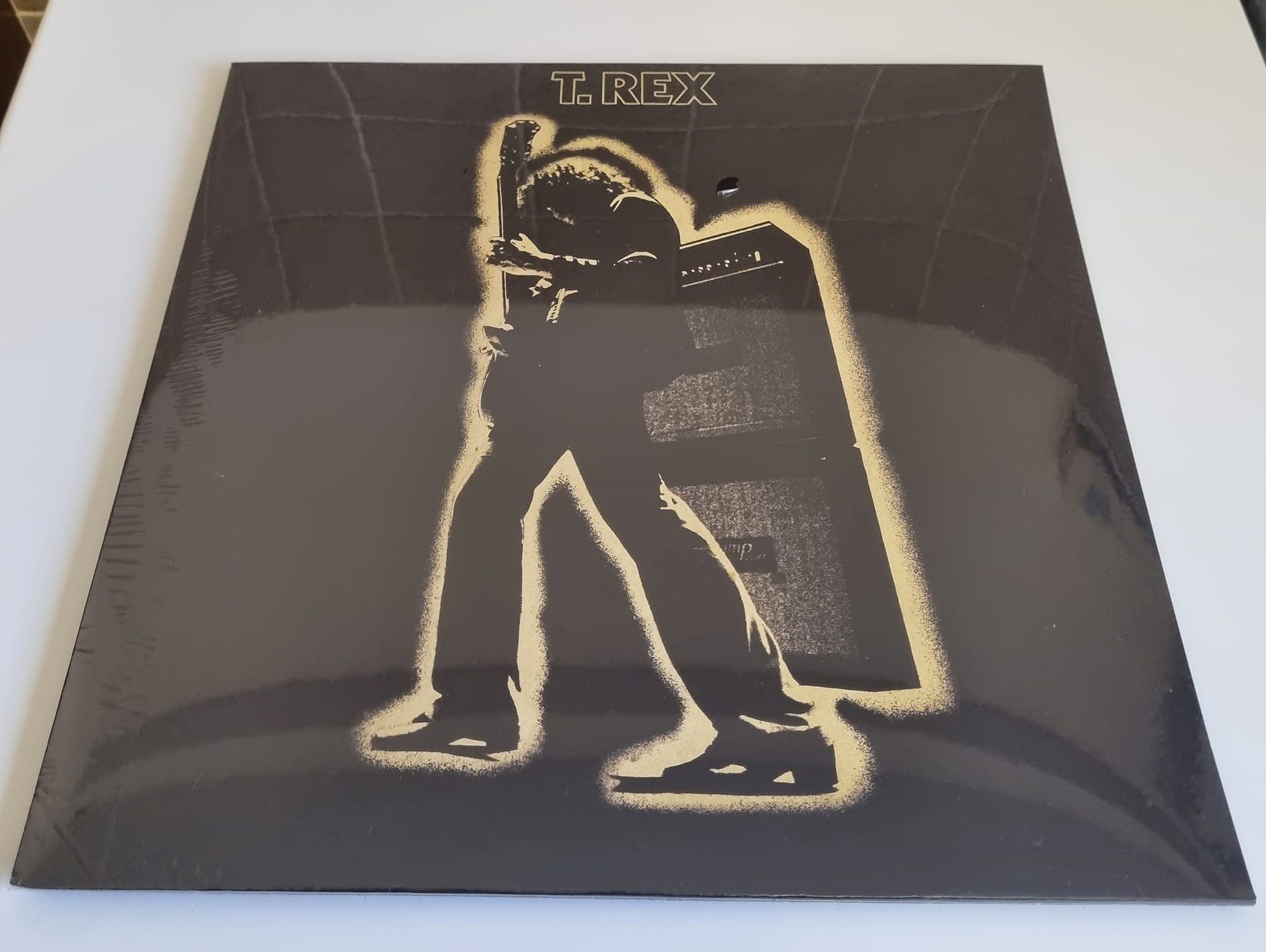 Buy this rare T rex record by clicking here