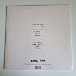 Buy this rare Biffy Clyro record by clicking here