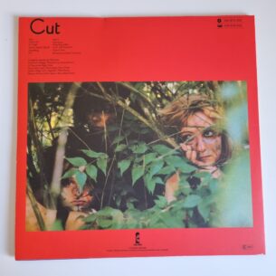 Buy this rare Slits record by clicking here