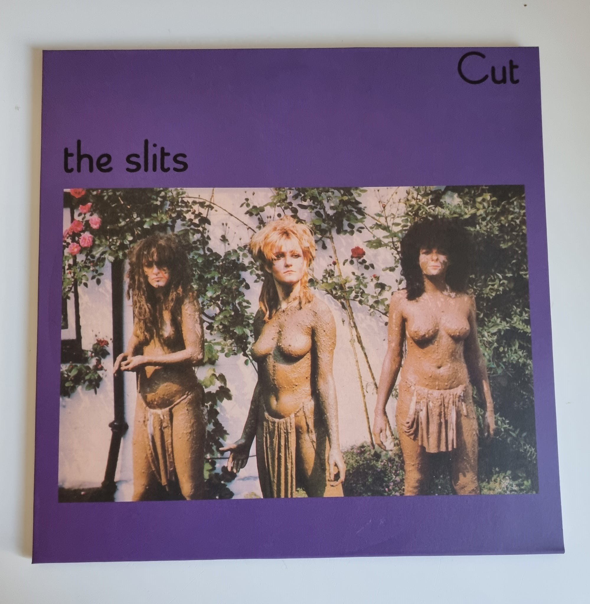 Buy this rare Slits record by clicking here