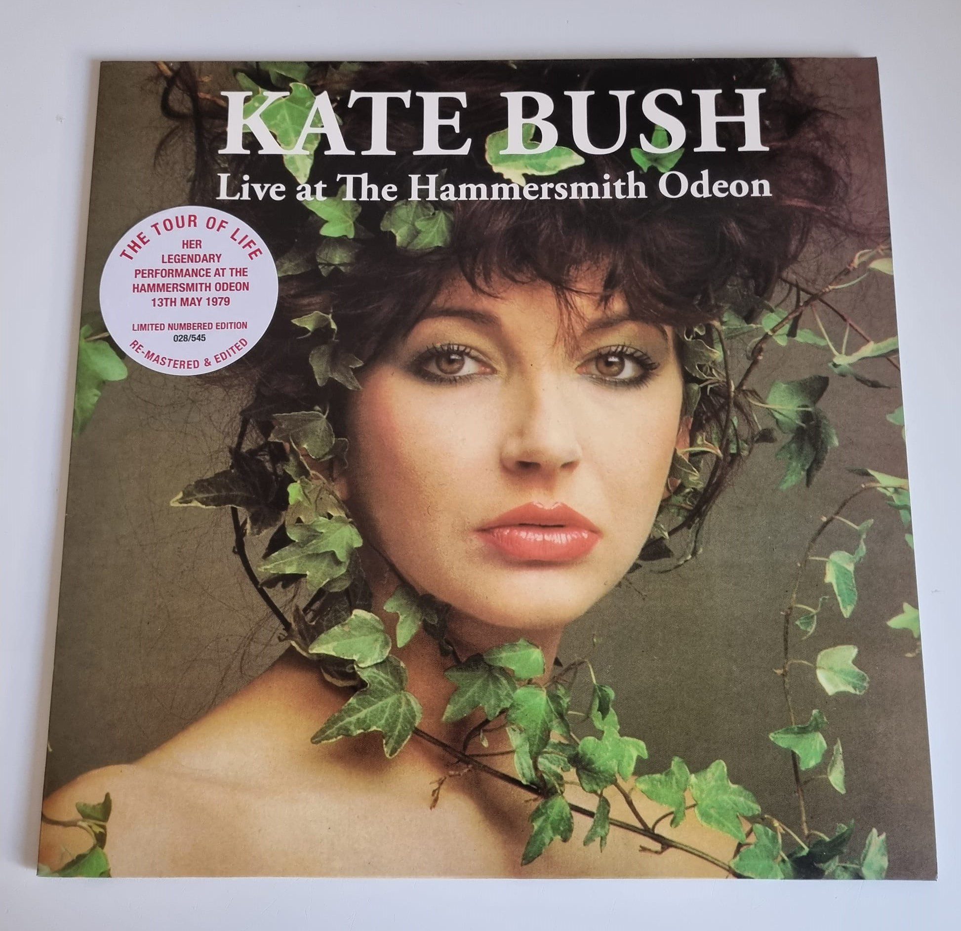Buy this rare Kate Bush record by clicking here