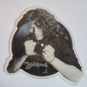 Buy this rare Whitesnake record by clicking here