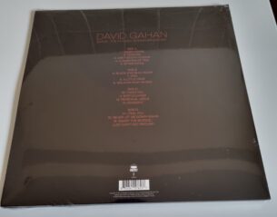 Buy this rare David Gahan record by clicking here