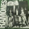 Ramones - CBGB'S New York 1977 (LP RECORD ALBUM VINYL)